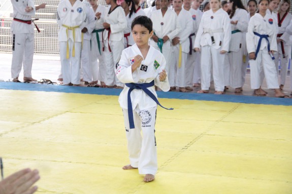 JE 2014- Taekwondo - Foto Alexandra Giulietti17
